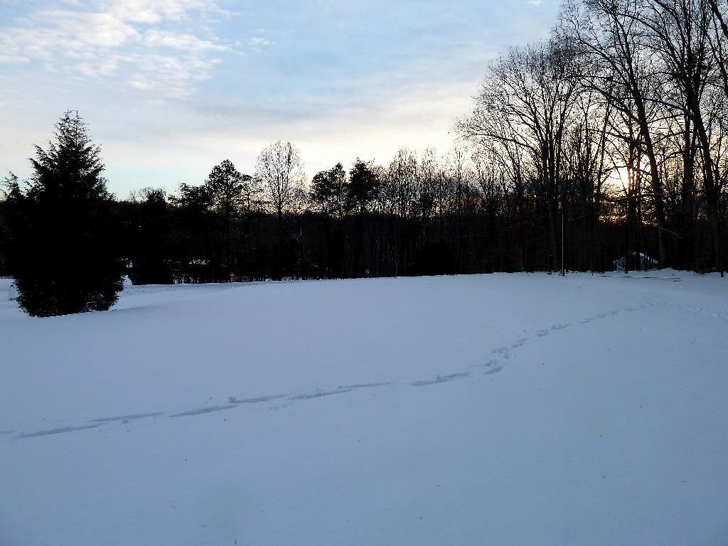Snow Storm 2104